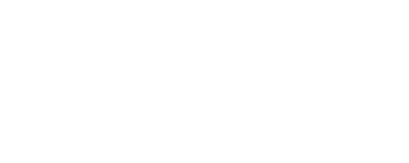 Storevizo